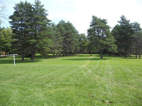 8434 North Bray Road Mount Morris, MI 48458 - Photo 6 of 23 20346325-5.JPG
