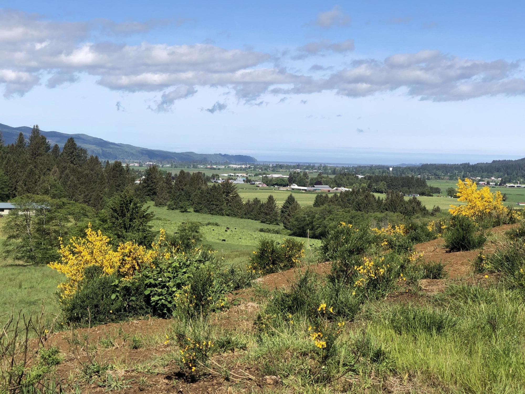 201 Hodgdon Road Tillamook, OR 97141 - Photo 20 of 33 IMG_7822