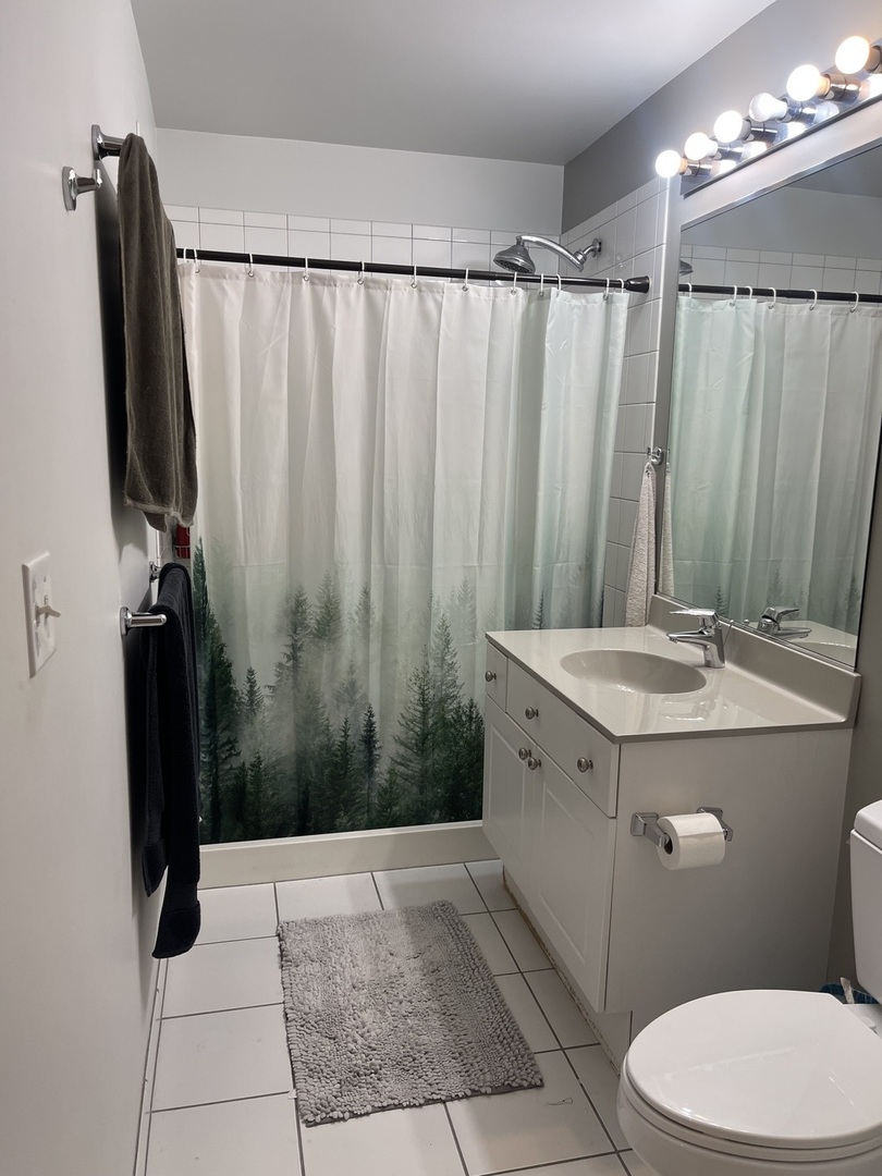 1720 South Michigan Avenue, Unit 2708 Chicago, IL 60616 - Photo 11 of 18 a bathroom with a sink a toilet and shower