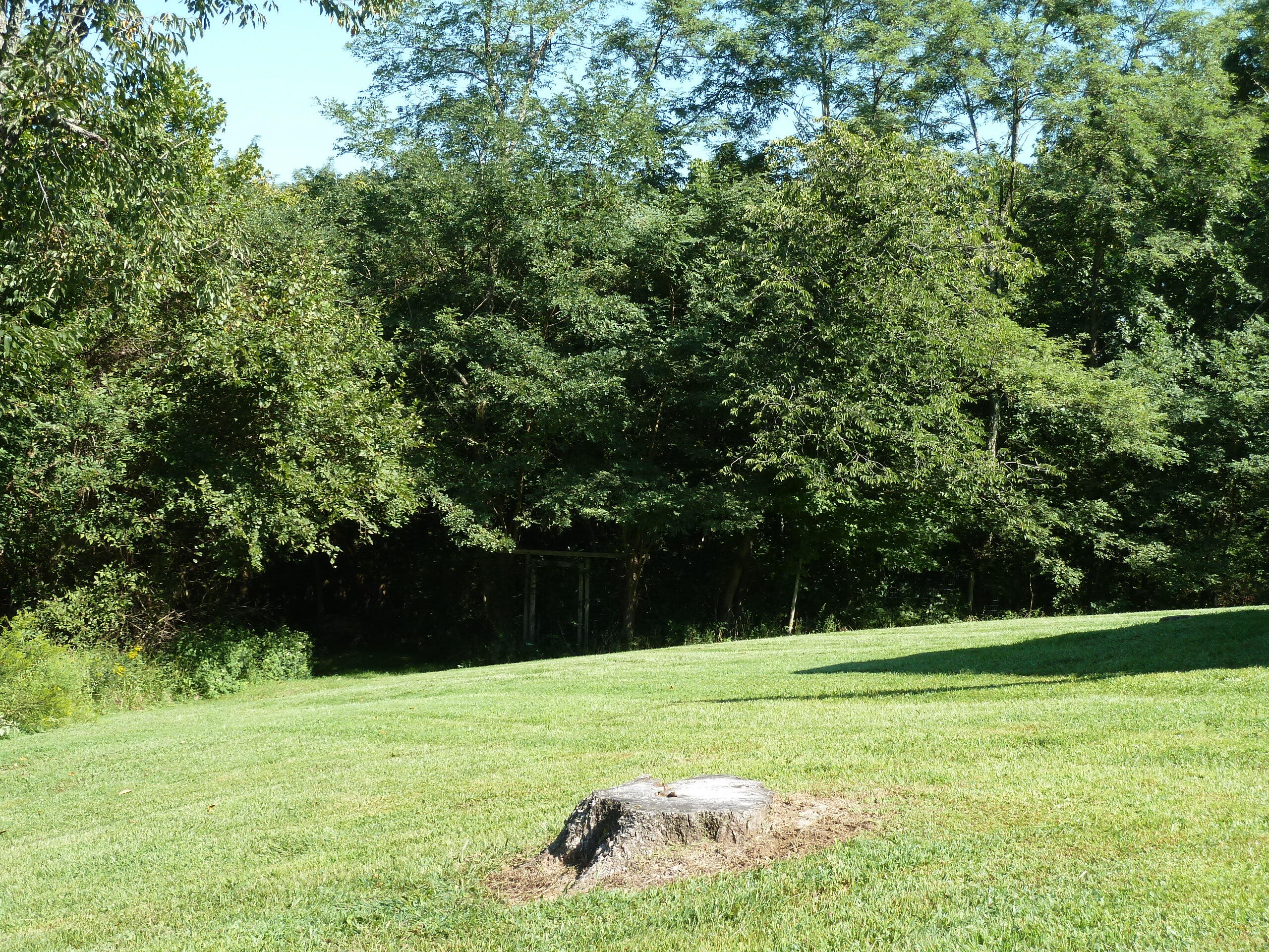 268 North Dividing Ridge Road Sadieville, KY 40370 - Photo 65 of 67 P1050052
