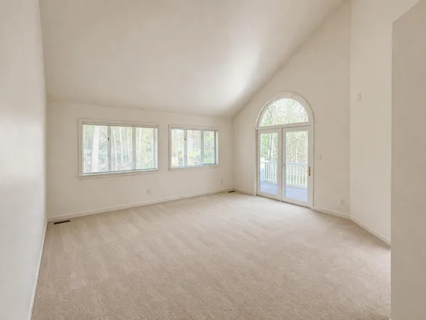 a view of a yard with plants and large trees