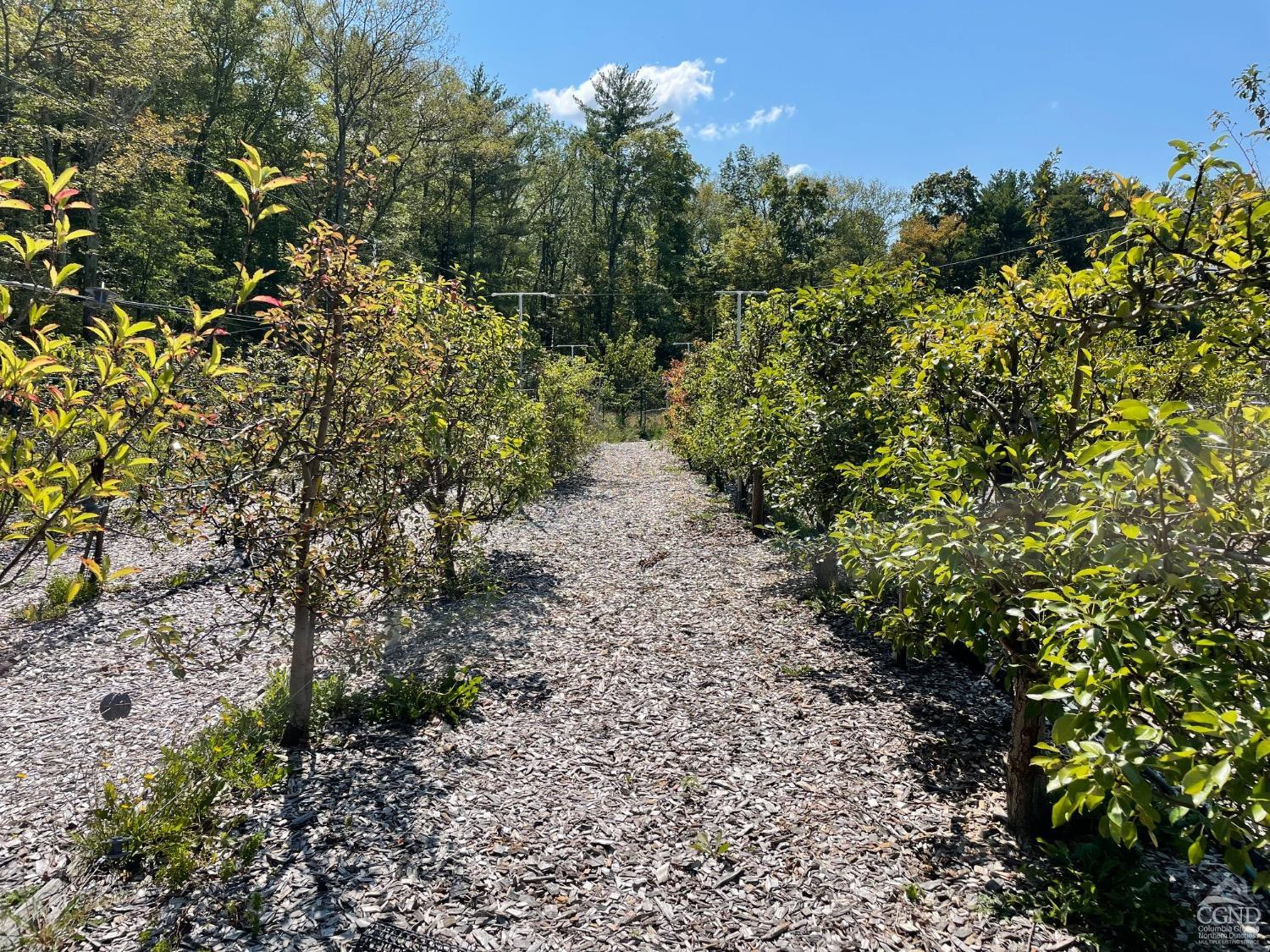 138 Vienna Woods Road Purling, NY 12470 - Photo 11 of 38 Photo 12