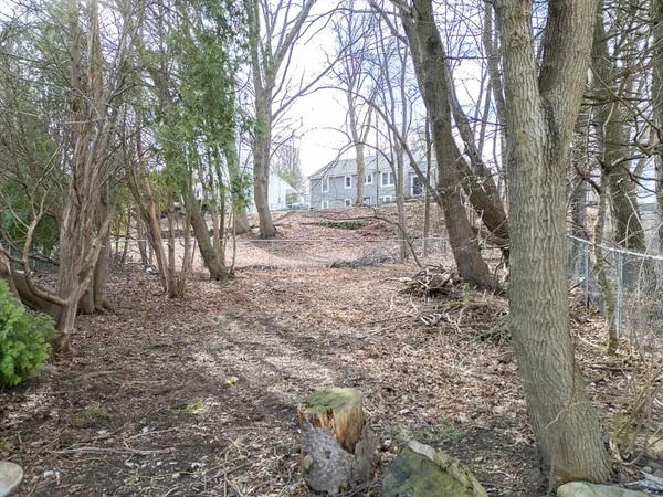 a view of house with yard and trees