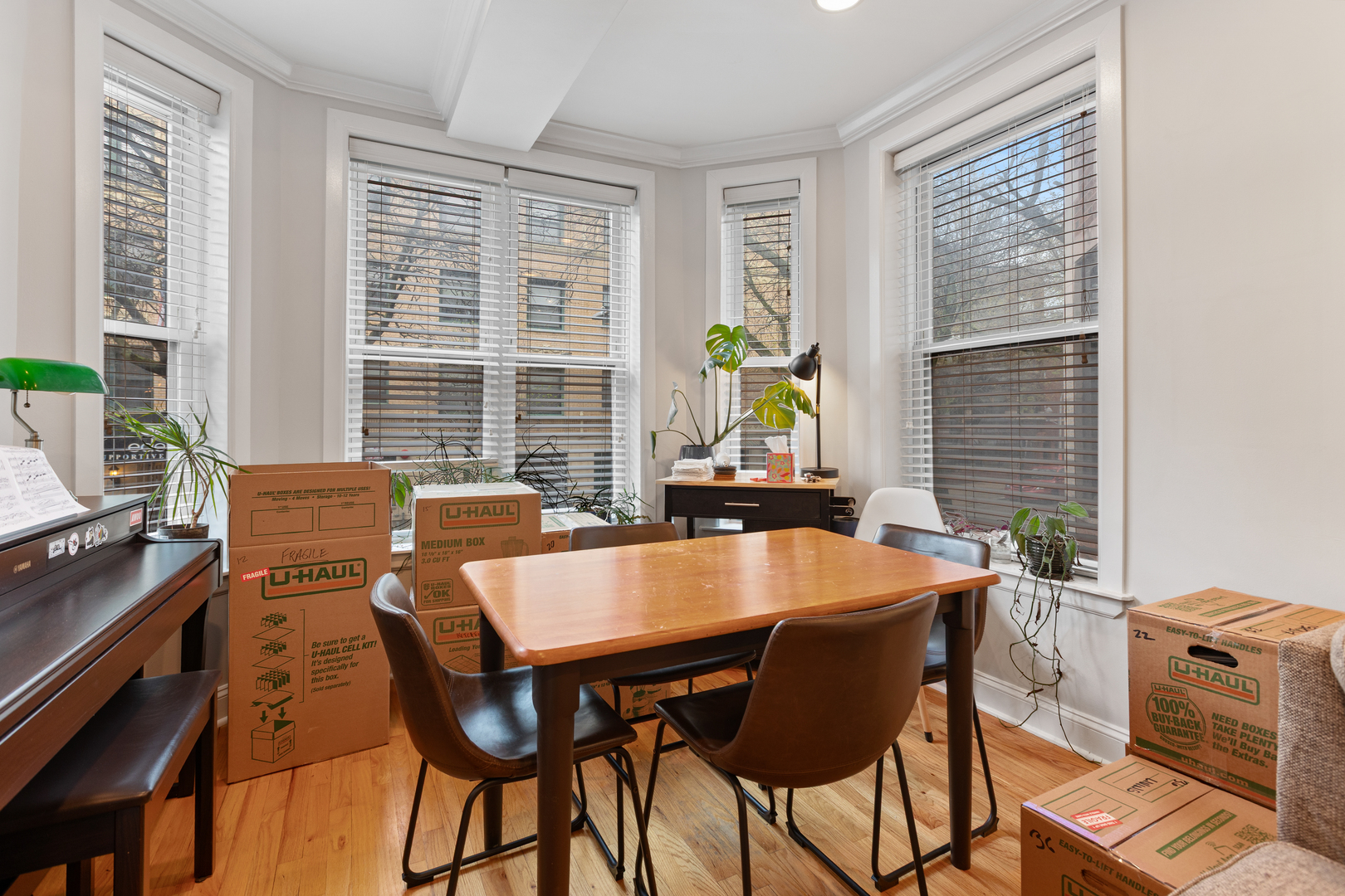 945 West Gordon Terrace, Unit 1E Chicago, IL 60613 - Photo 3 of 15