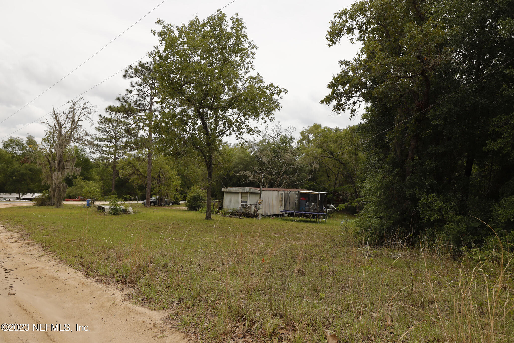 7354 Yale Street Keystone Heights, FL 32656 - Photo 6 of 13 a view of a yard with swimming pool and trees
