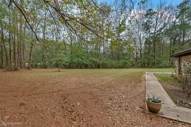 a view of a backyard