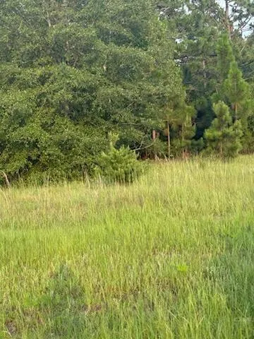 $55,000 | 0 Hancock Landing Road, Waynesboro, GA 30830