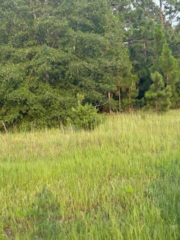 6.7 acres on Hancock Landing