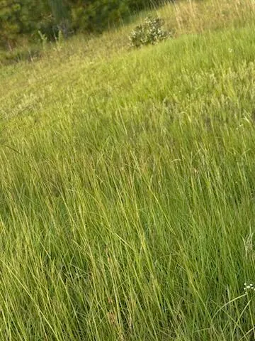 $55,000 | 0 Hancock Landing Road, Waynesboro, GA 30830