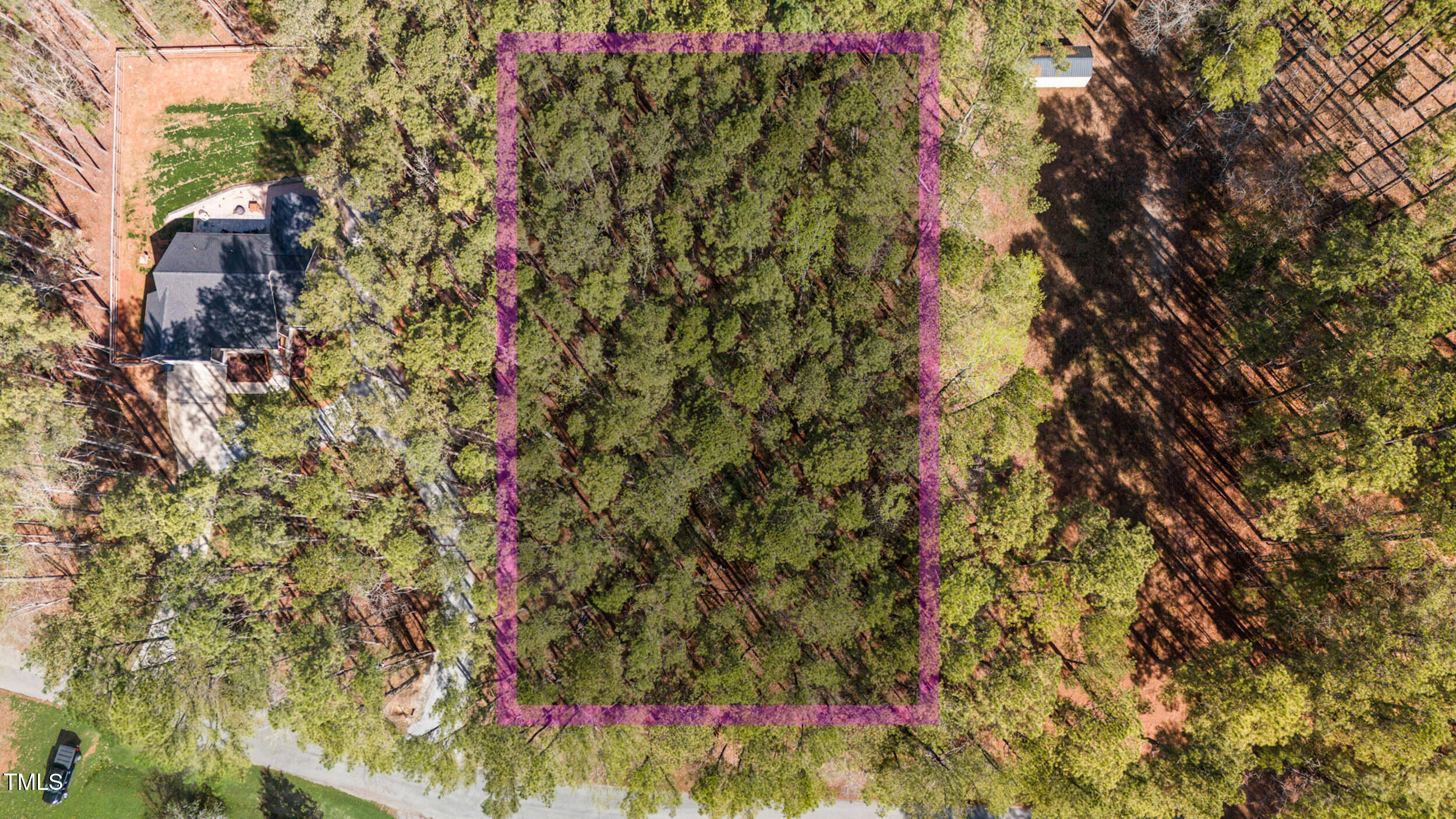 Lot 84 Twin Oaks Lane Littleton, NC 27850 - Photo 1 of 13 a close up of a tree