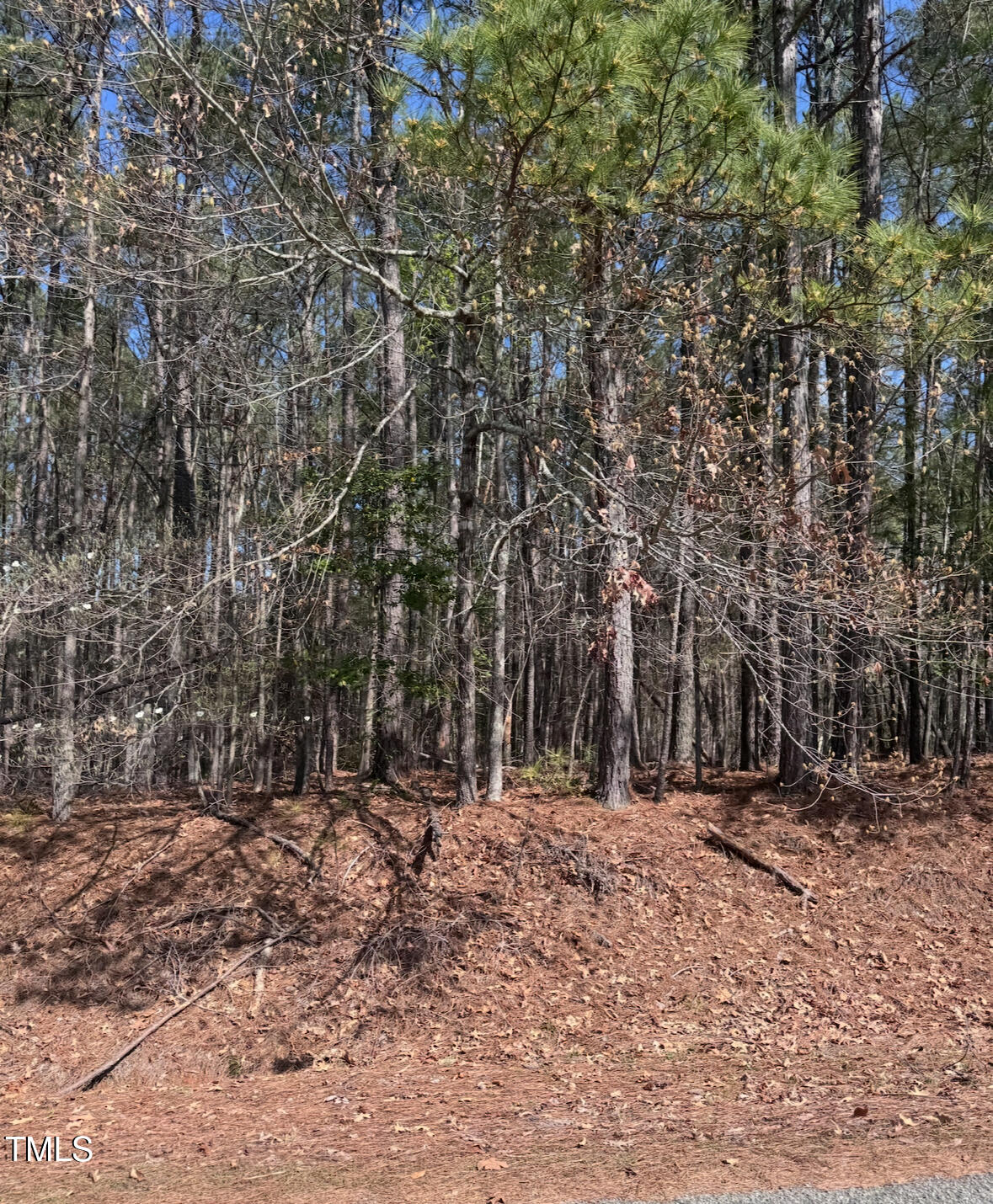 Lot 84 Twin Oaks Lane Littleton, NC 27850 - Photo 2 of 13 a view of outdoor space with trees