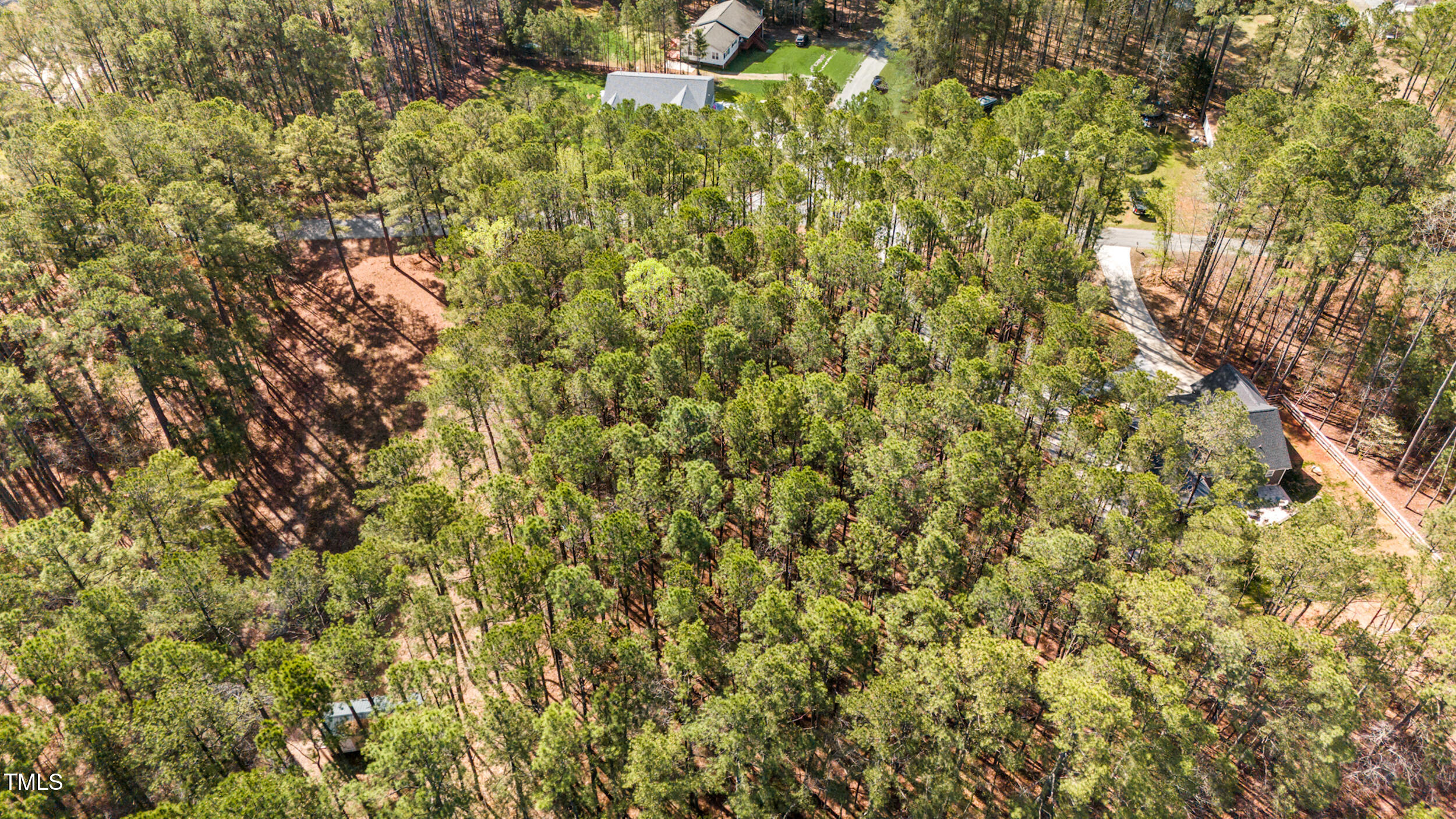 Lot 84 Twin Oaks Lane Littleton, NC 27850 - Photo 5 of 13 a view of a tree with a tree