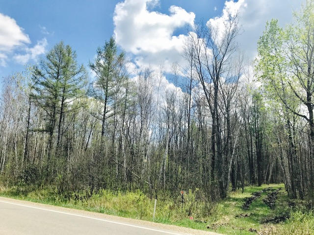 Co Road Peshtigo, WI 54157 - Photo 1 of 1 Primary Photo