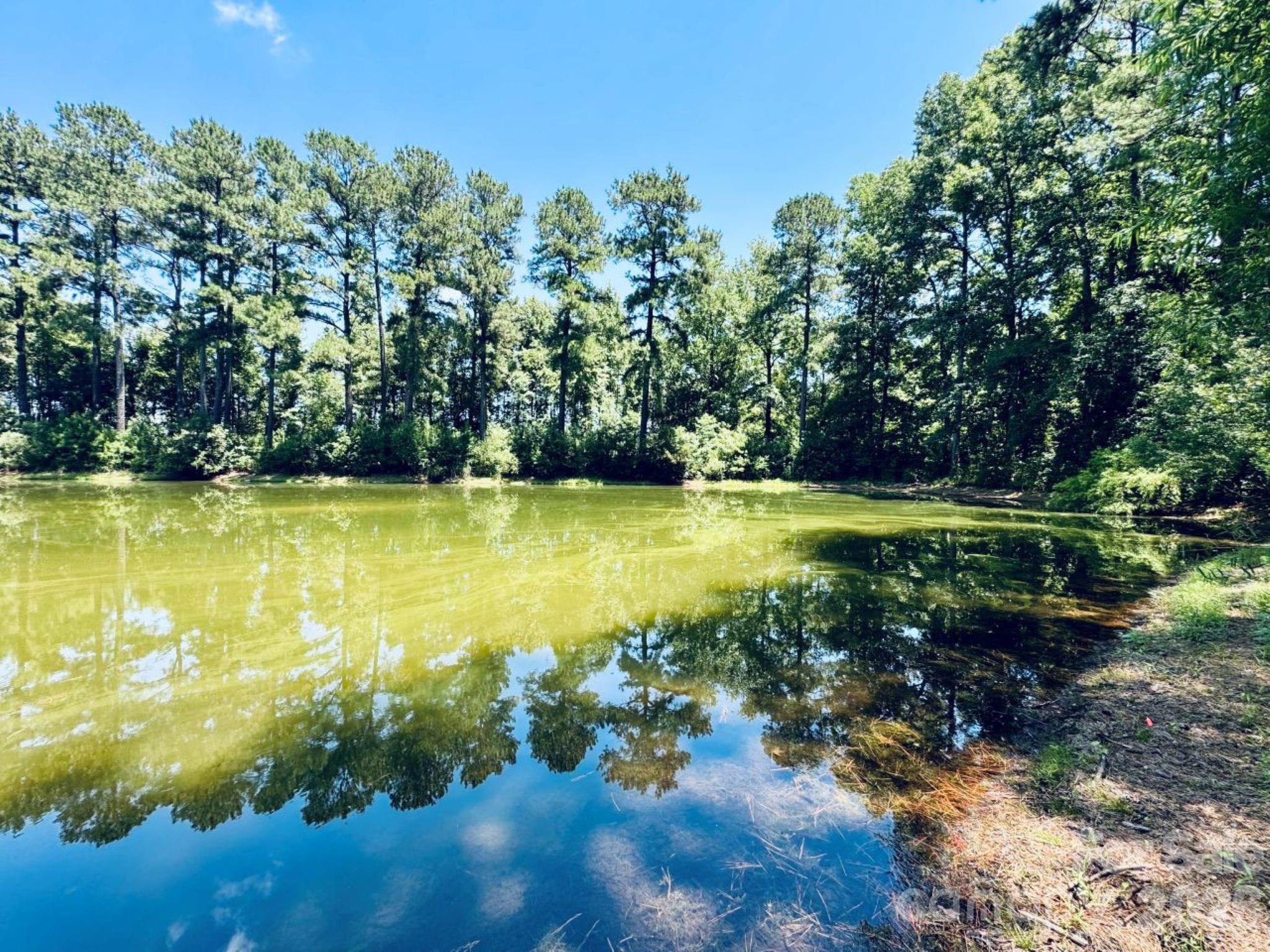 5326 Judson Road Clio, SC 29525 - Photo 23 of 29