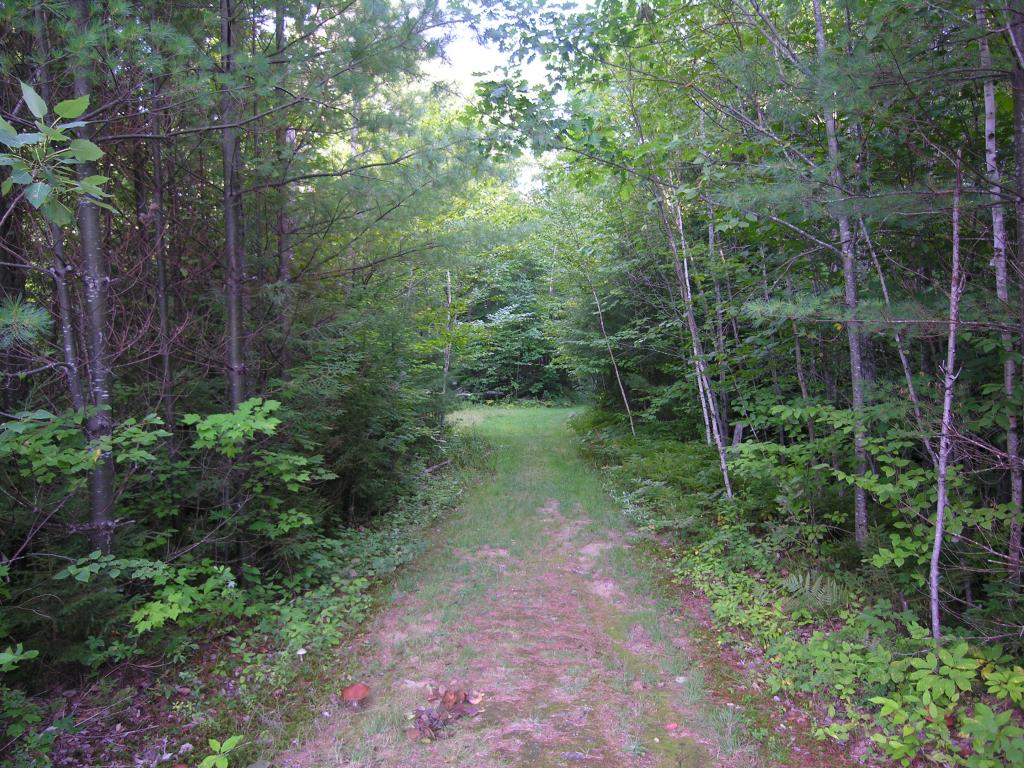 50 Mirror Lake Road Jackson, NH 03846 - Photo 31 of 35 Gallery Image 31