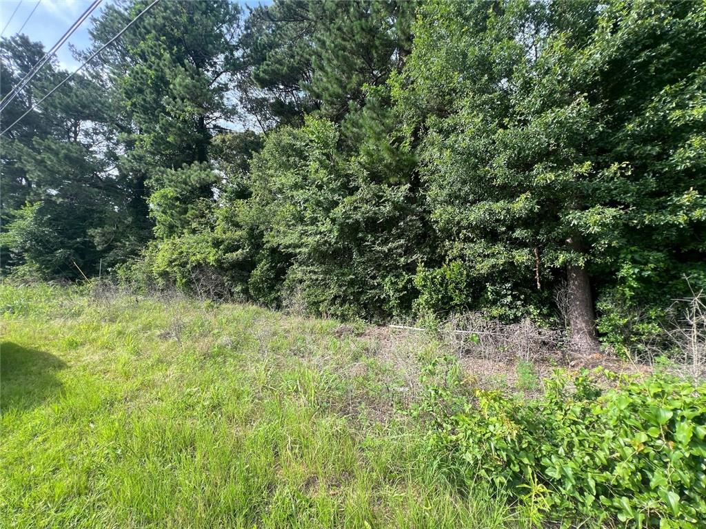 760 Almon Road Covington, GA 30014 - Photo 9 of 11