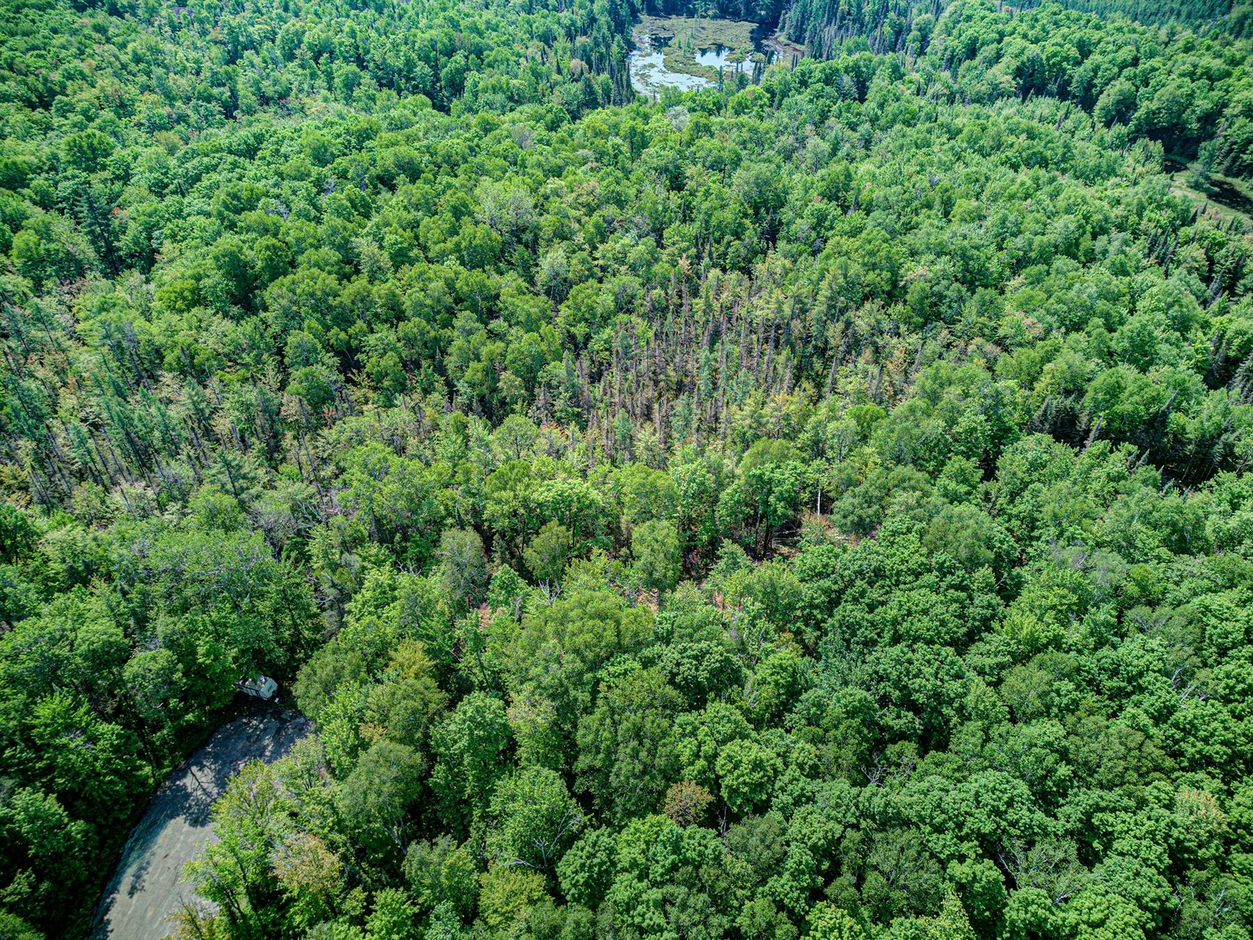 Lot 24 Gemstone Road Presque Isle, WI 54557 - Photo 18 of 23 Gallery Image 18