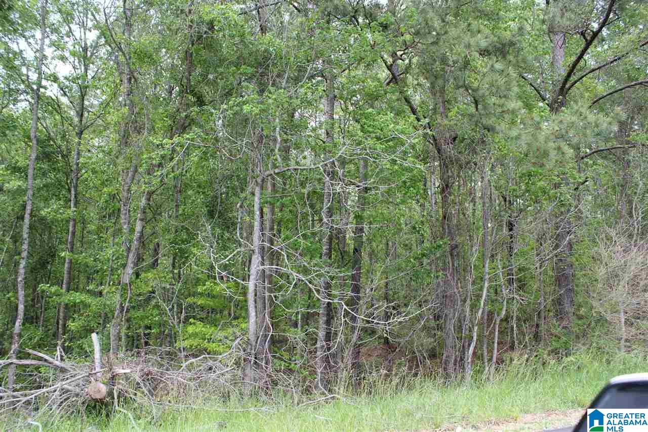 0 County Road 38 Jemison, AL 35085 - Photo 8 of 13