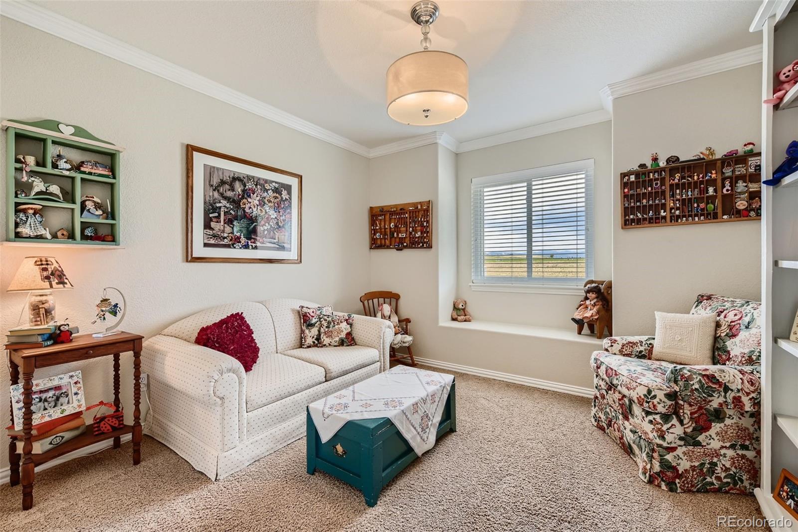 10787 Chadsworth Point Highlands Ranch, CO 80126 - Photo 22 of 38 Gallery Image 22