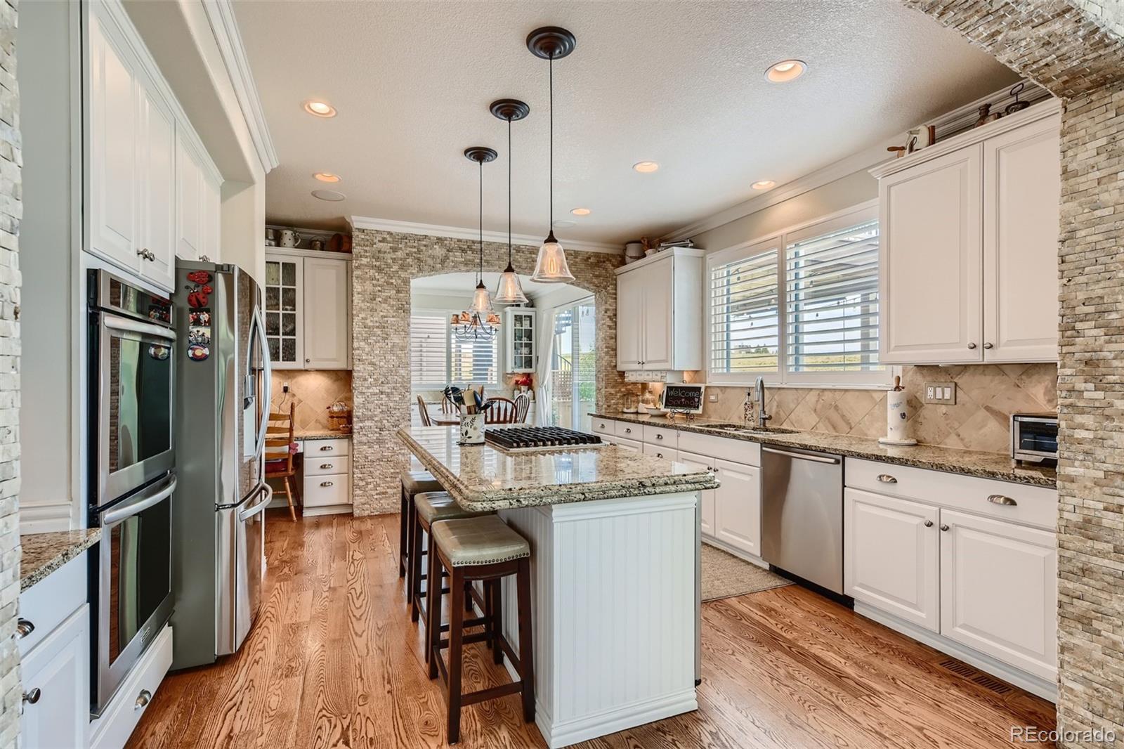 10787 Chadsworth Point Highlands Ranch, CO 80126 - Photo 9 of 38 Gallery Image 9