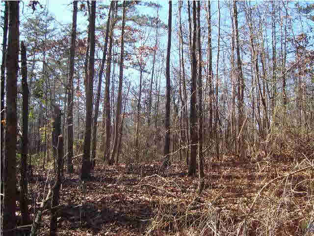 24 Highway Ac Al, Unit 10 13 Springville, AL 35146 - Photo 5 of 6