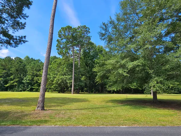 $39,500 | 145 Wood Lake Drive, Manning, SC 29102