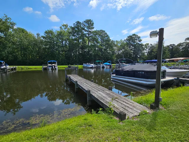 $39,500 | 145 Wood Lake Drive, Manning, SC 29102
