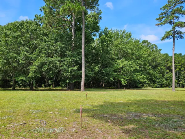$39,500 | 145 Wood Lake Drive, Manning, SC 29102