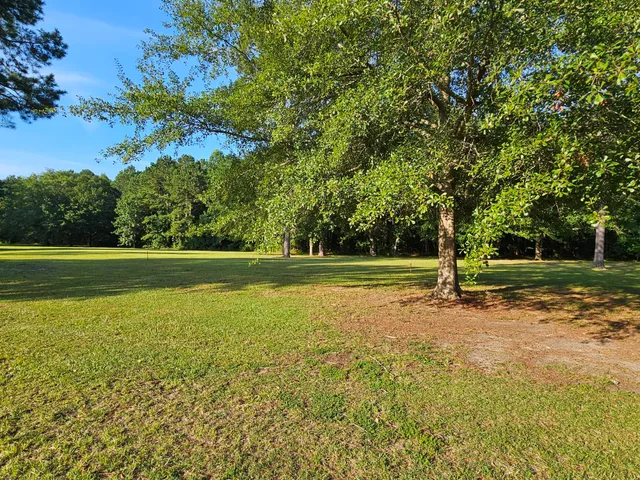 $39,500 | 145 Wood Lake Drive, Manning, SC 29102