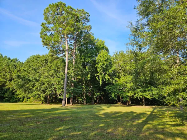 $39,500 | 145 Wood Lake Drive, Manning, SC 29102