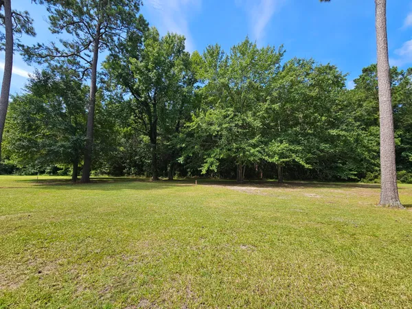 $39,500 | 145 Wood Lake Drive, Manning, SC 29102