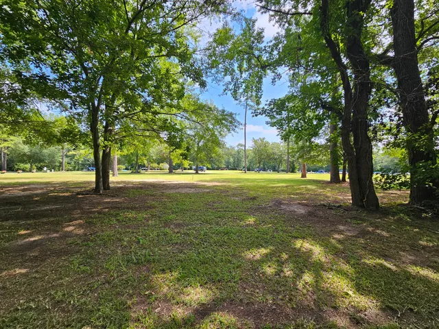 $39,500 | 145 Wood Lake Drive, Manning, SC 29102