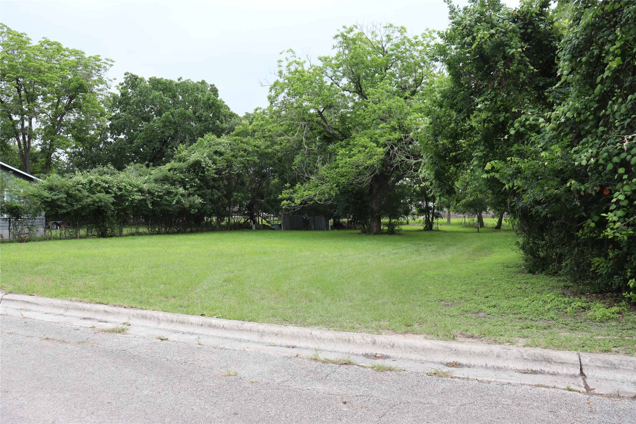 1006 Johnson Street Lockhart, TX 78644 - Photo 10 of 10 Expansive grassy lot with mature perimeter trees