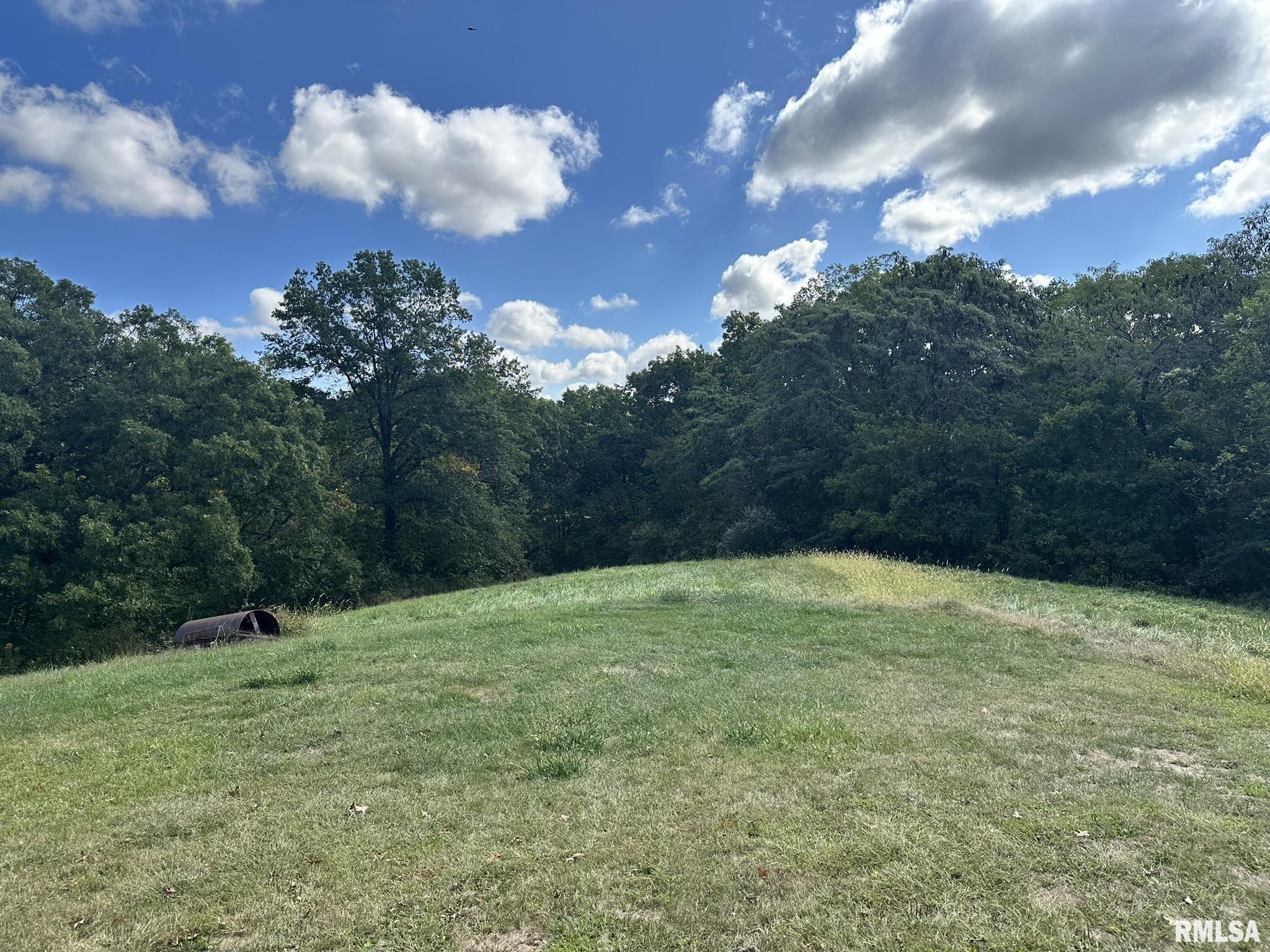 2205 North Sullivan Road Astoria, IL 61501 - Photo 14 of 25