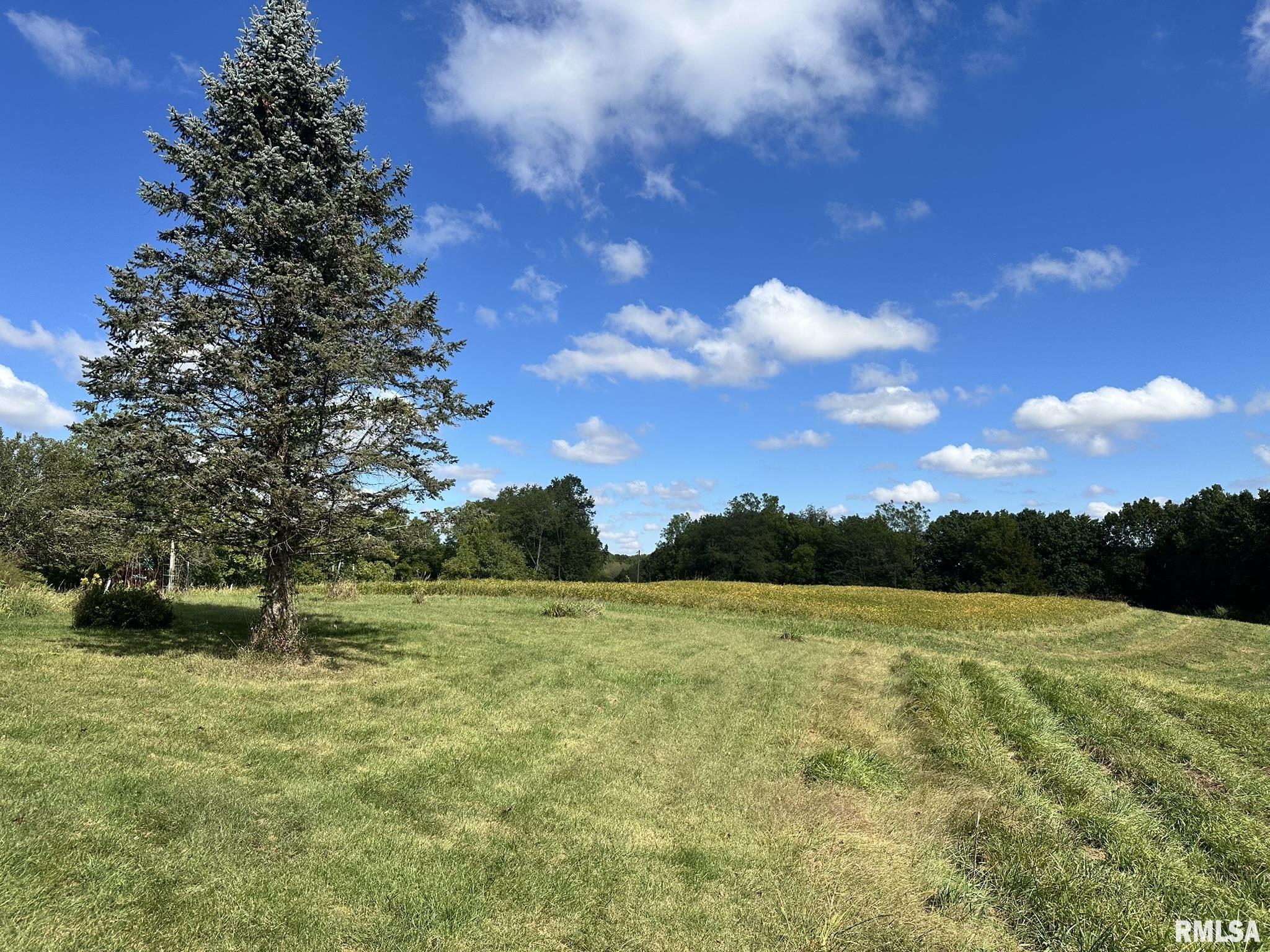 2205 North Sullivan Road Astoria, IL 61501 - Photo 17 of 25