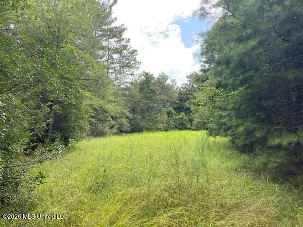 $373,750 | 0 Highway 439, Franklinton, LA 70438
