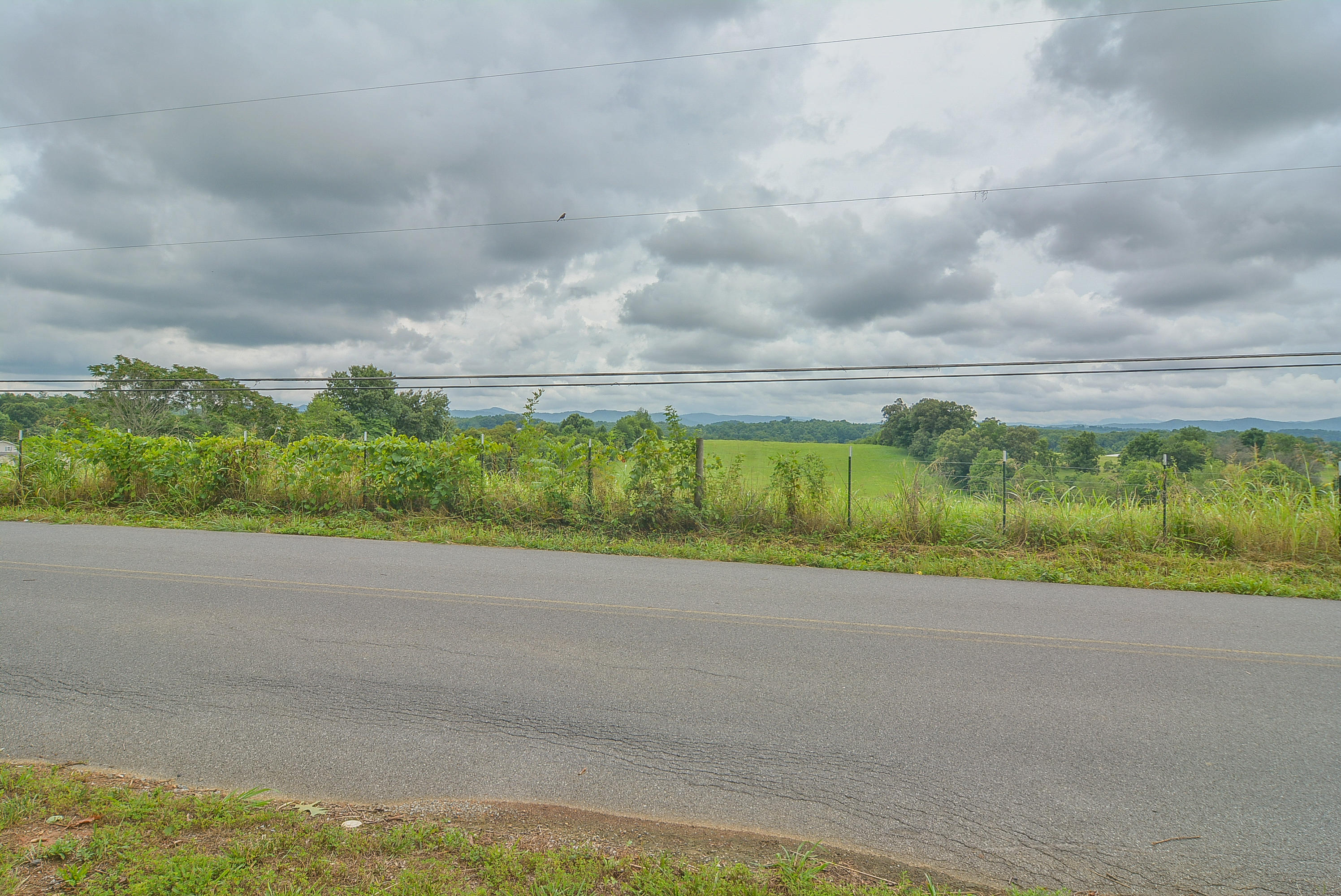 431 Berry Ridge Road Jonesborough, TN 37659 - Photo 26 of 41 Mtn Views 2