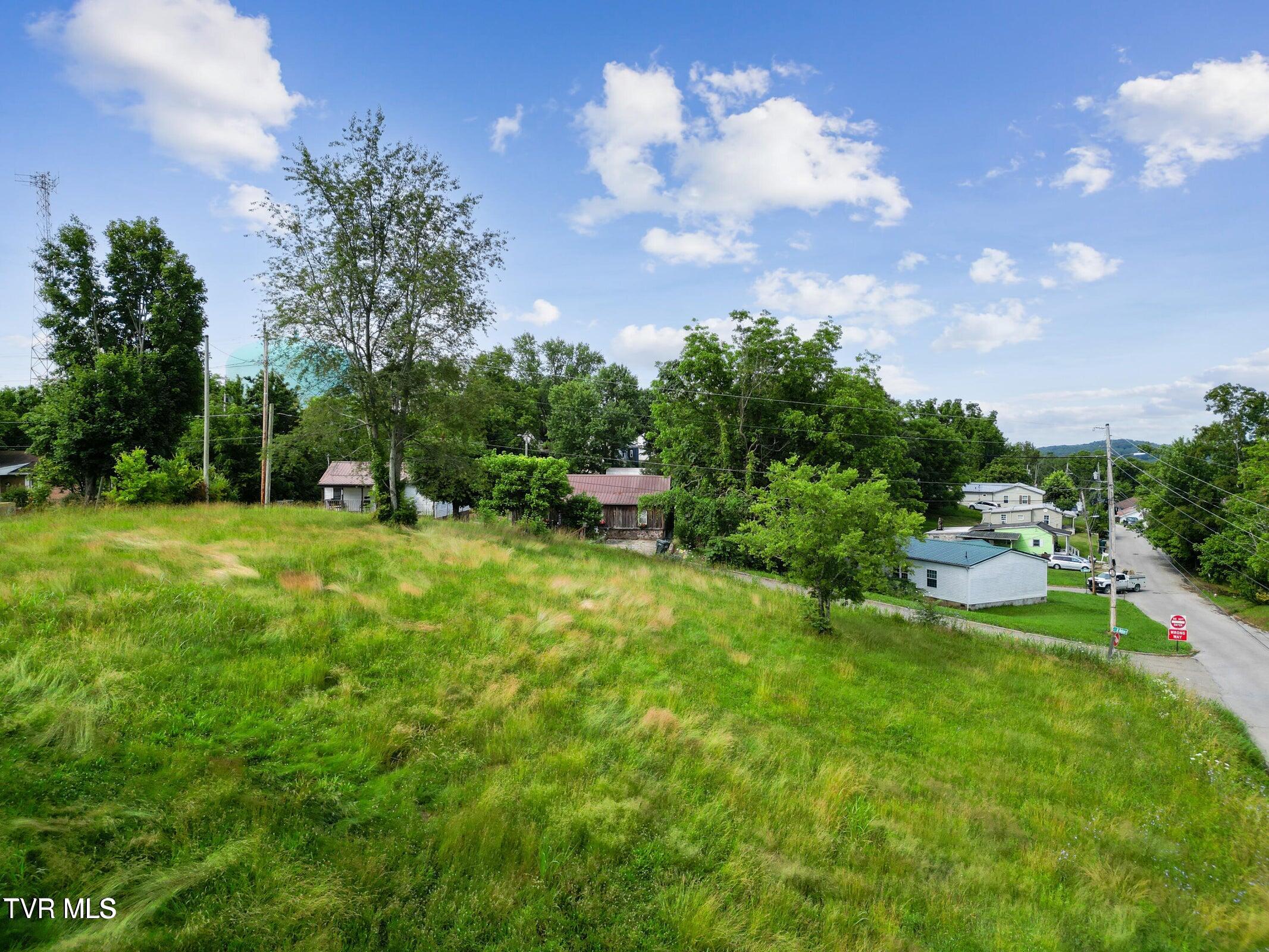 0 Leonard Street Greeneville, TN 37745 - Photo 11 of 11 20250616152110045931000000-o