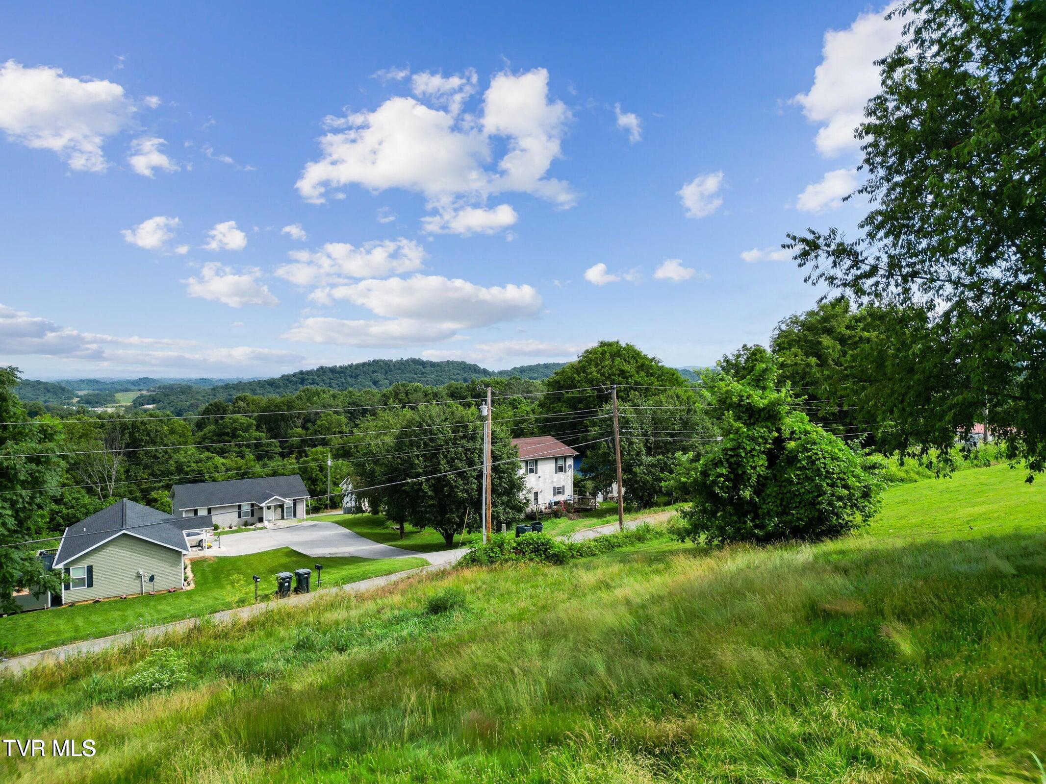 0 Leonard Street Greeneville, TN 37745 - Photo 8 of 11 20250616152058982644000000-o