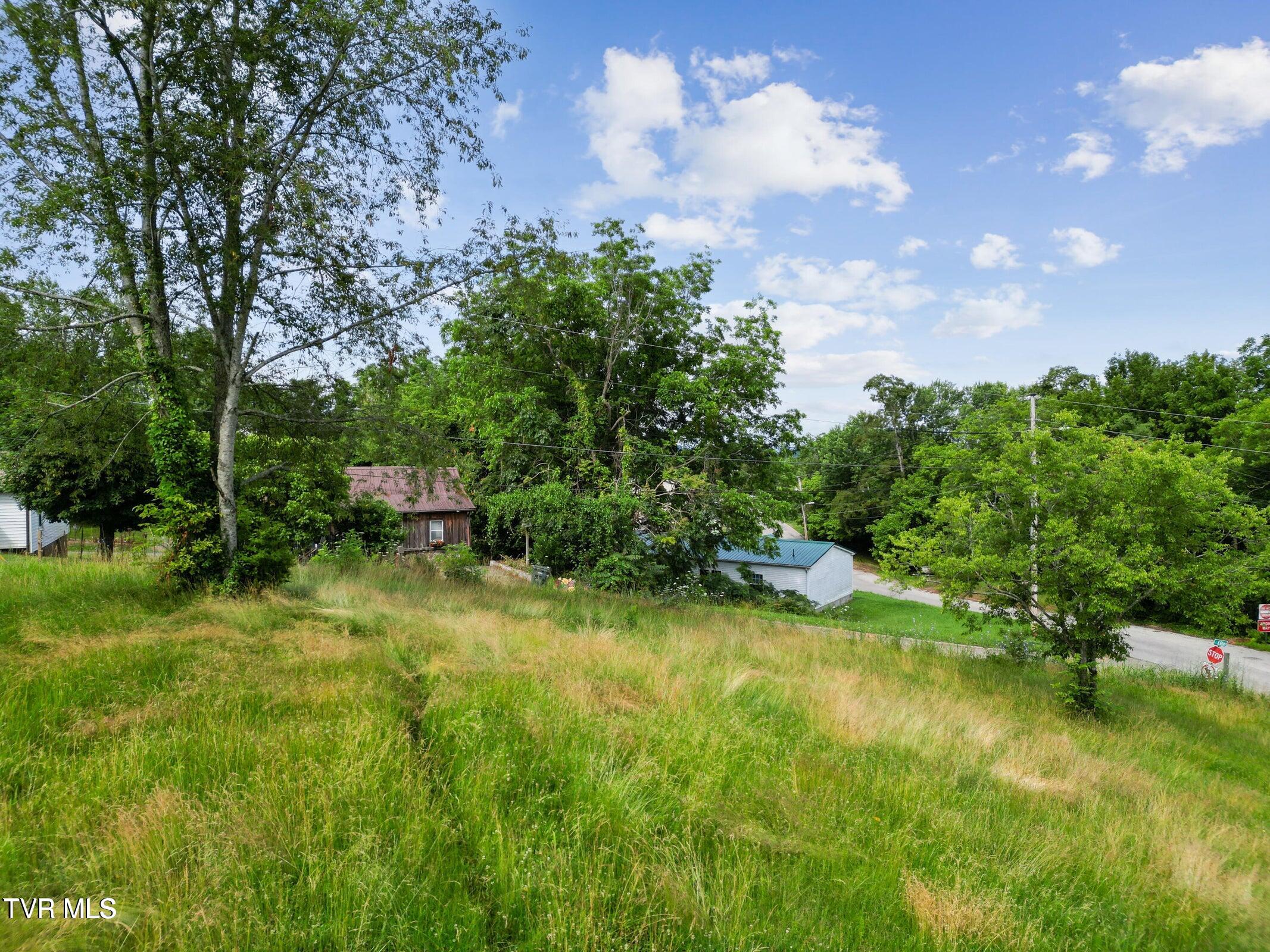 0 Leonard Street Greeneville, TN 37745 - Photo 9 of 11 20250616152102553584000000-o