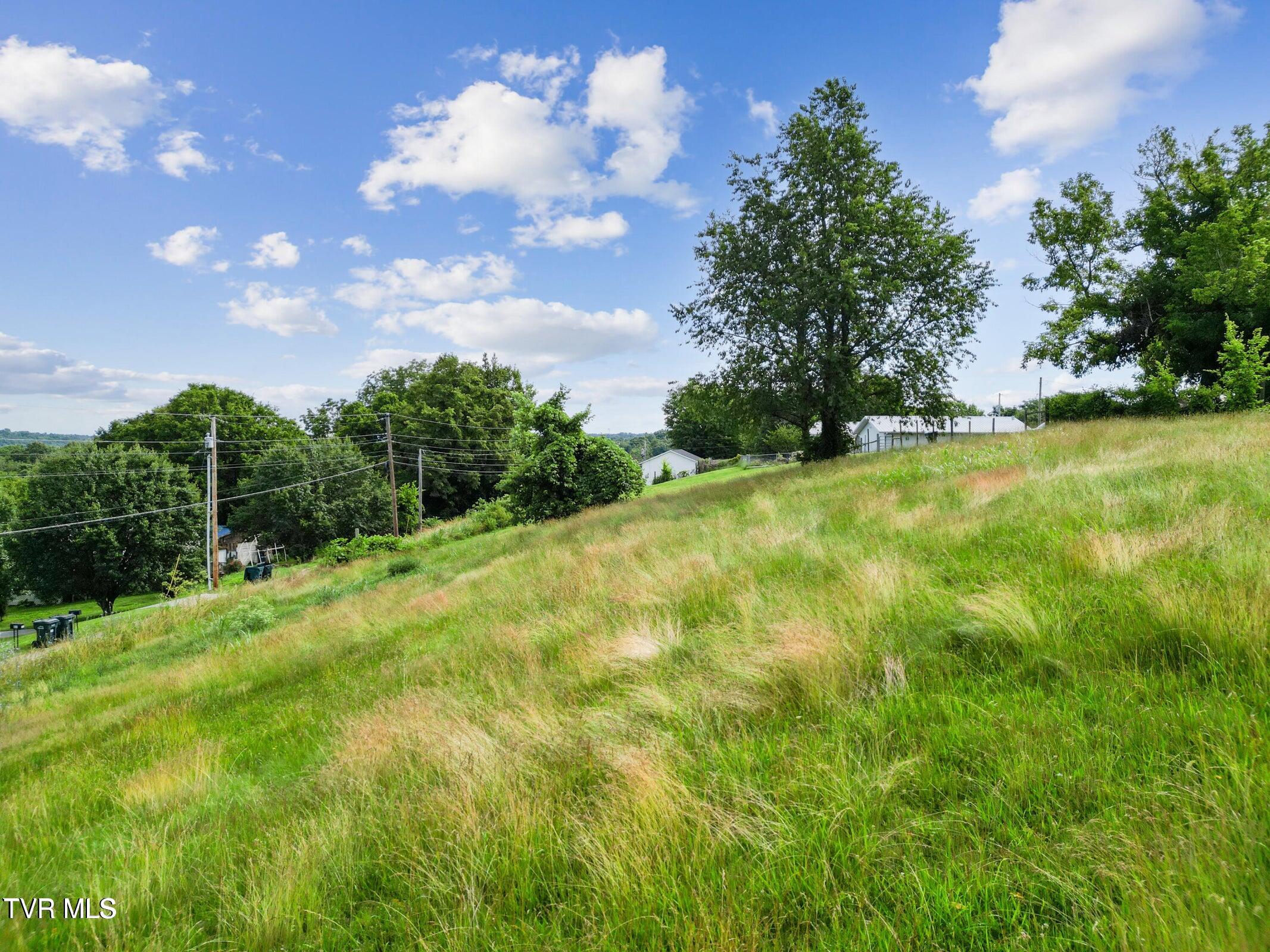 0 Leonard Street Greeneville, TN 37745 - Photo 10 of 11 20250616152106175156000000-o