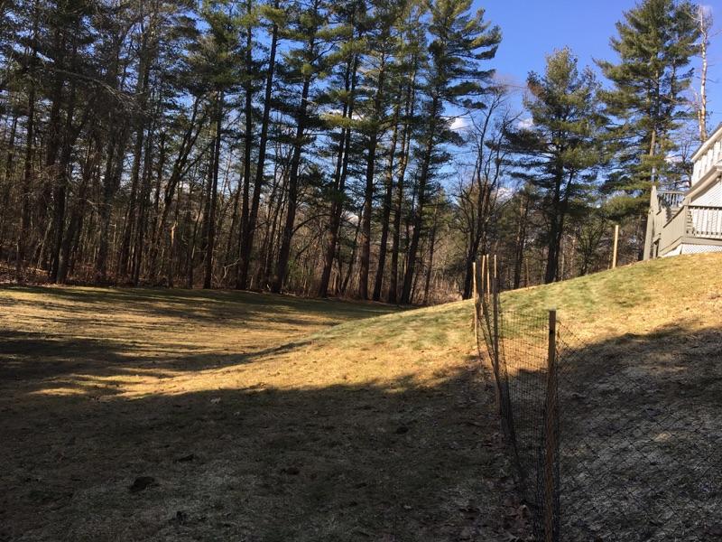 163 Mammoth Road Londonderry, NH 03053 - Photo 21 of 24 Gallery Image 21