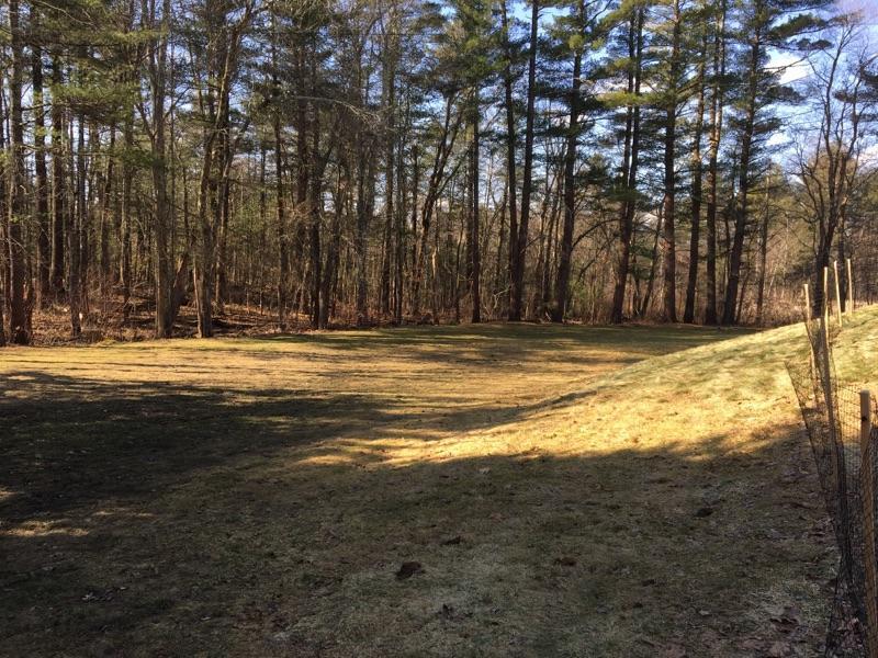 163 Mammoth Road Londonderry, NH 03053 - Photo 23 of 24 Gallery Image 23