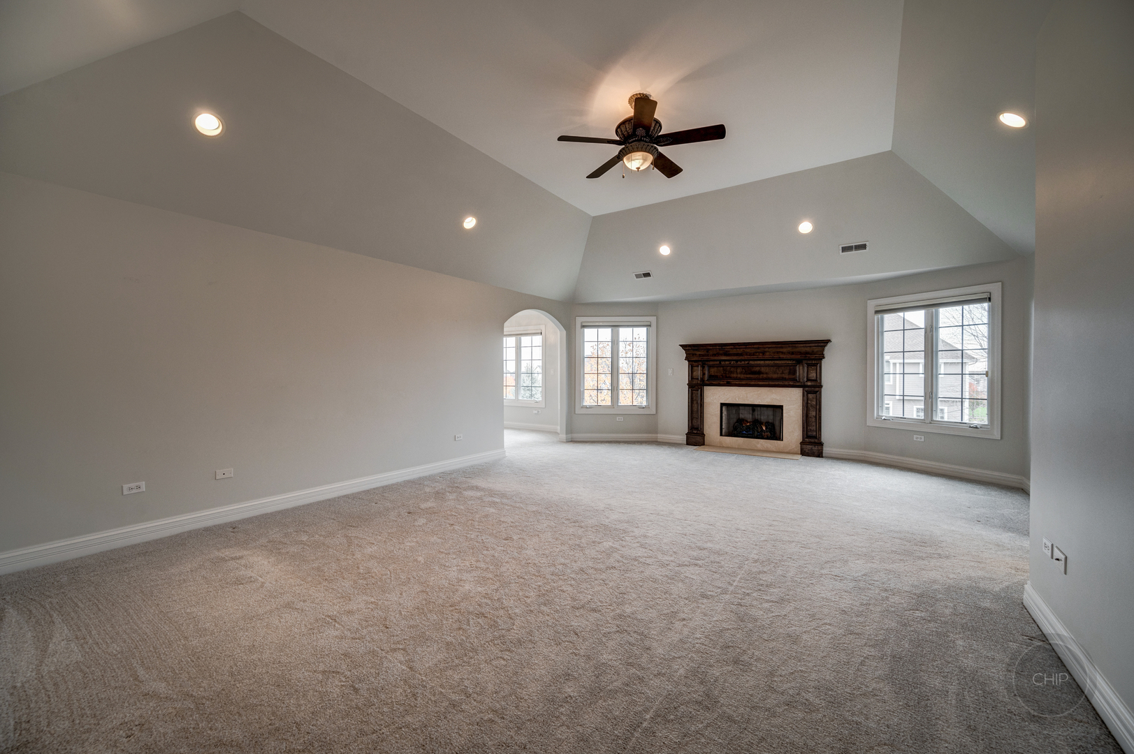 4603 Corktree Road Naperville, IL 60564 - Photo 25 of 61 a view of empty room with windows and fireplace