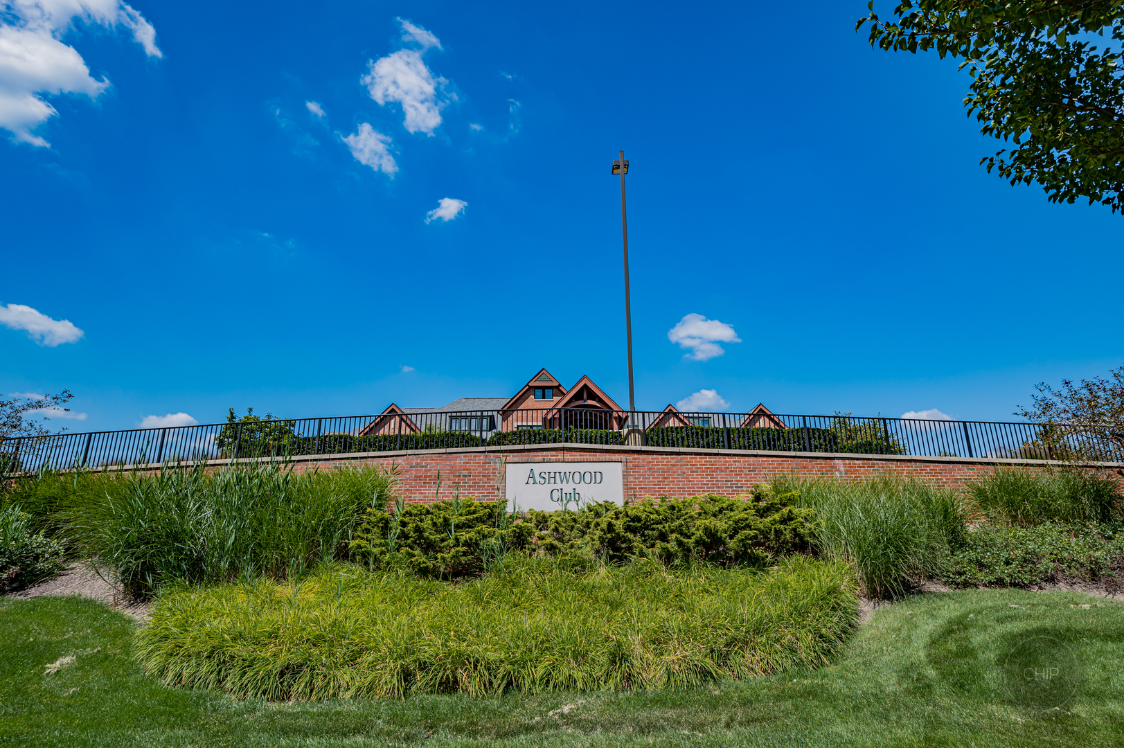 4603 Corktree Road Naperville, IL 60564 - Photo 59 of 61 a view of a garden with a yard