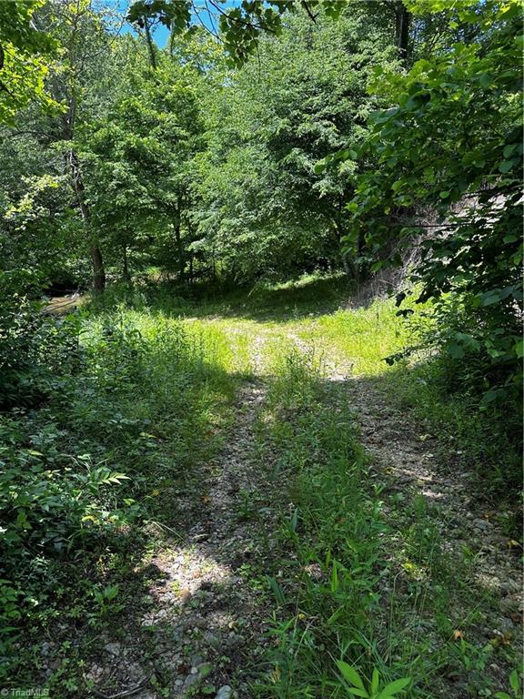 1775 Mt Zion Road Ferguson, NC 28624 - Photo 11 of 15