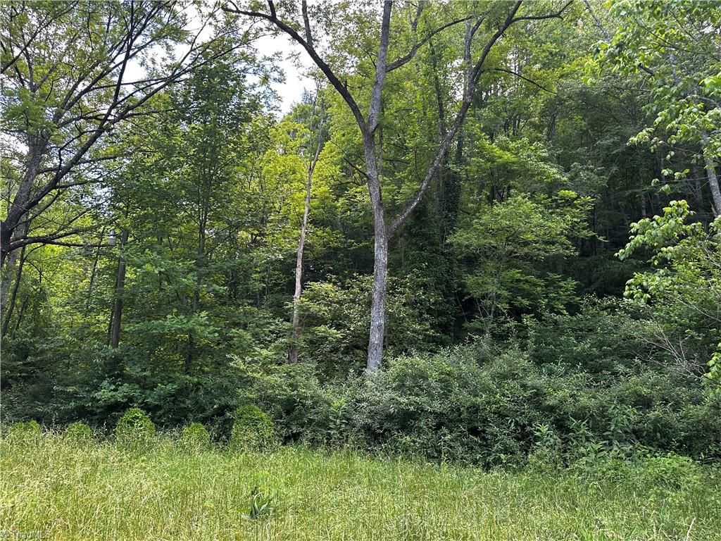 1775 Mt Zion Road Ferguson, NC 28624 - Photo 12 of 15
