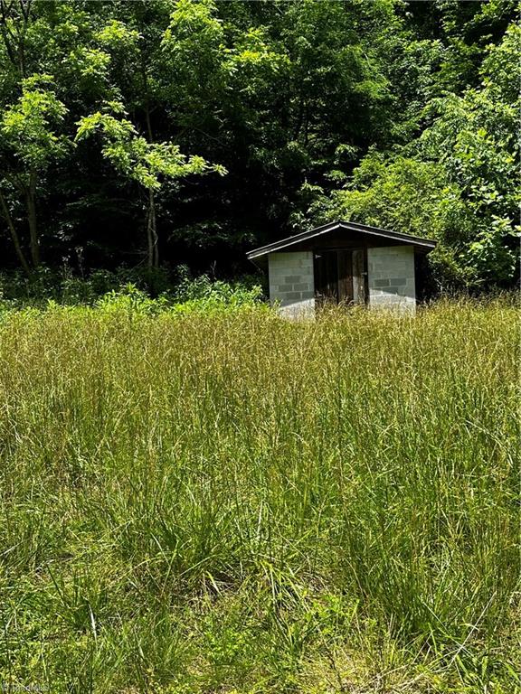 1775 Mt Zion Road Ferguson, NC 28624 - Photo 3 of 15