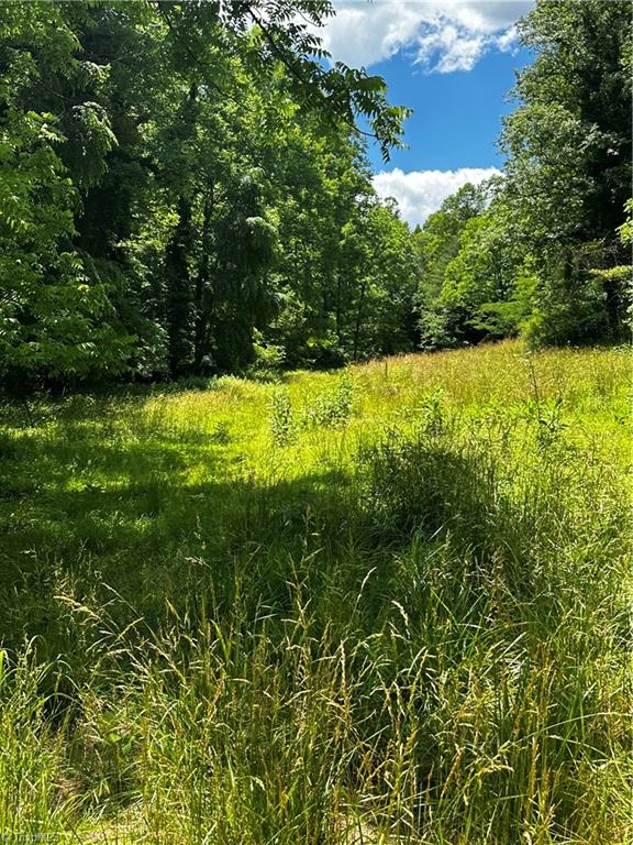 1775 Mt Zion Road Ferguson, NC 28624 - Photo 4 of 15