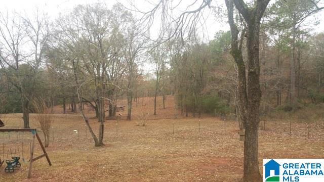 250 Nixon Road Cropwell, AL 35054 - Photo 42 of 49